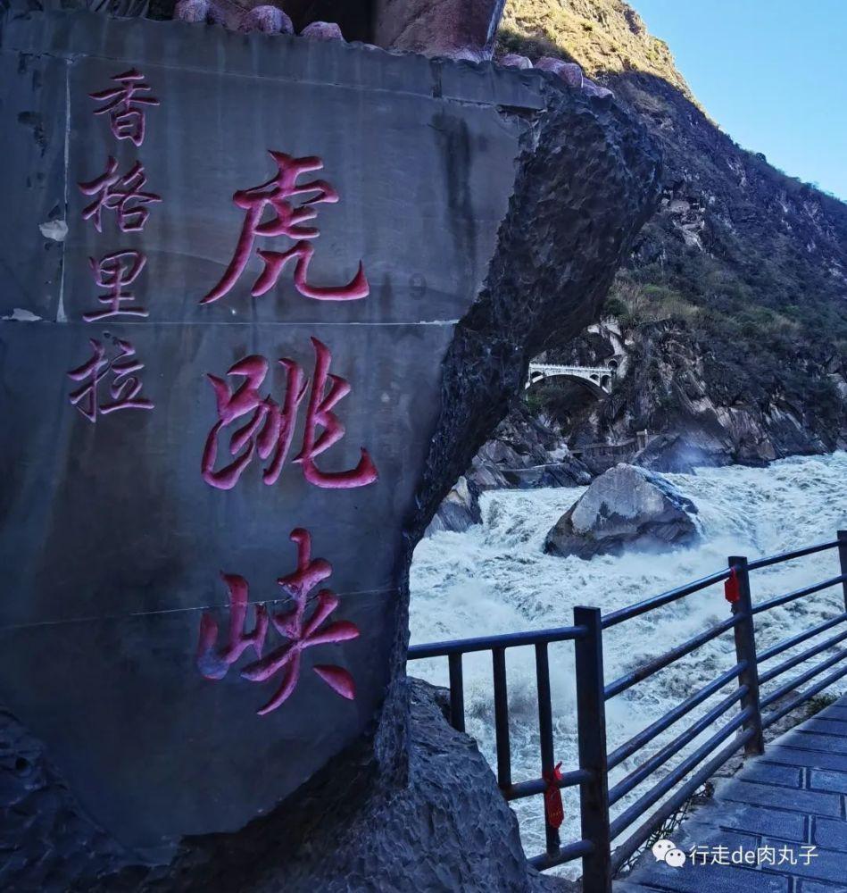 僵尸顶顶乐